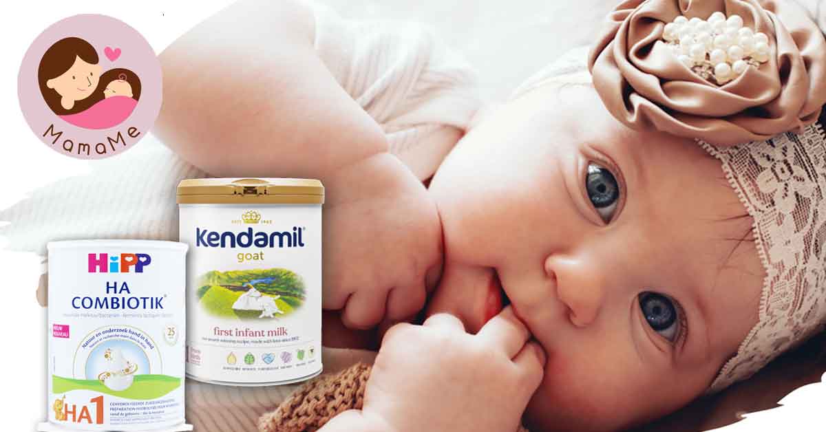 European Formula Standards: Kendamil and HiPP