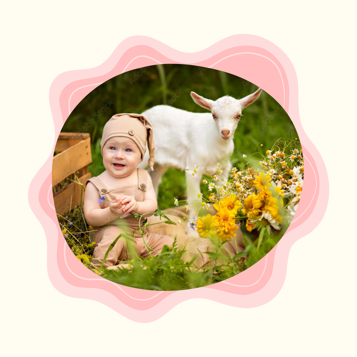 Stage 2 baby formula for 6 to 10 months