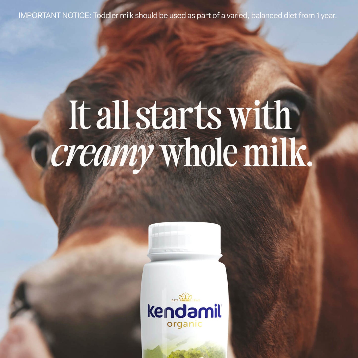 
                  
                    Kendamil Organic Stage 3 Ready-to-Feed toddler milk
                  
                
